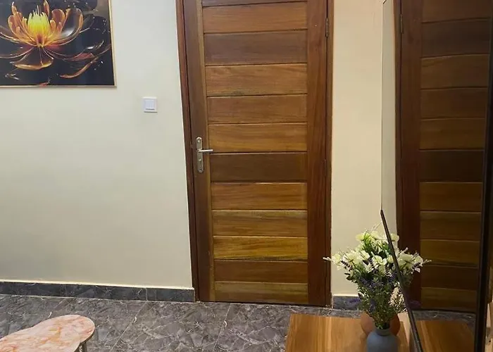 Joli Appartement 2 Pieces Cosi Derkle